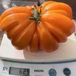 IMG_8055.jpeg