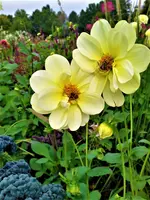 IMG_20210925_104744_3.webp