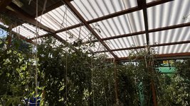 IMG_8090.jpeg