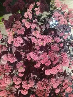 IMG_20230823_122140.webp