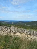 20230917_121821.webp