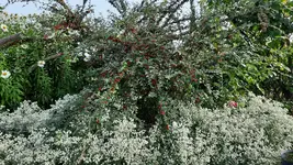 20230917_164854.jpg