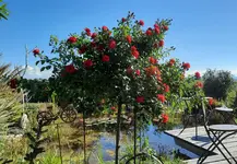 20230916_155320.jpg