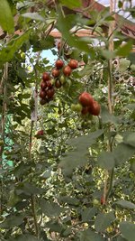 IMG_8101.jpeg
