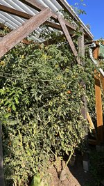 IMG_8111.jpeg