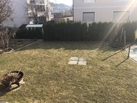 IMG_8501.jpeg
