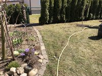 IMG_8522.jpeg