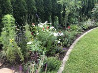 IMG_9819.jpeg