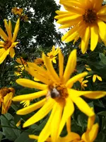 20230913_101822.webp