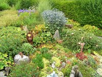 DSCF3043 (2).JPG