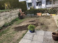 IMG_1533.jpeg