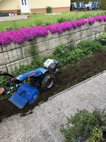 IMG_1776.jpeg