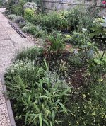 IMG_2958.jpeg