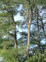 IMG_20230917_103246.jpg