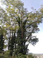 IMG_20230917_101919.jpg