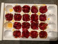 Pep.'Gorria F1'_Chili_Peperonata.jpg