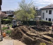 IMG_1579.jpeg