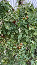 IMG_8150.webp