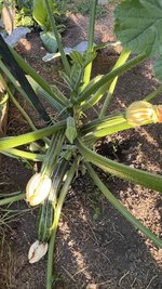 IMG_8159.jpeg