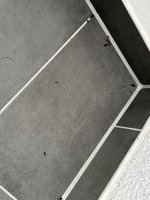 IMG_0183(1).JPEG