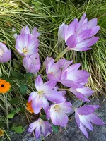20230916_123902.webp