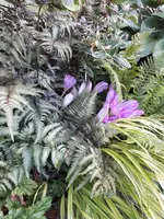20230918_080330.webp