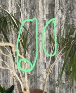 IMG_6654.jpeg