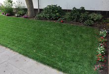 Beet uWN 20230914.jpg