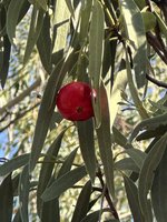 IMG_8343.jpeg