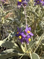 IMG_8348.jpeg