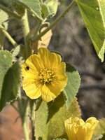 IMG_8351.jpeg
