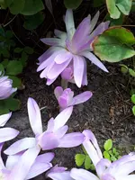20230920_112743.webp