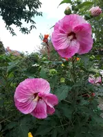 20230920_172606.webp