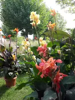 20230920_132407.webp