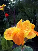 20230918_150257.webp