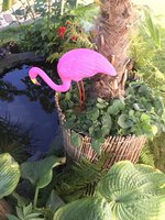 IMG_E1232.JPG