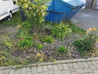 kleines Beet (1).jpg