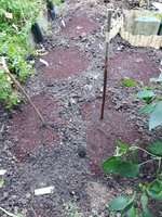 IMG_20230921_162219.jpg