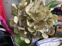 IMG_1304.webp IMG_1304.webp