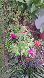 20230923_155707.webp