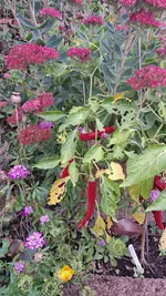 20230923_155916.webp