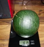 2023rnt05.webp