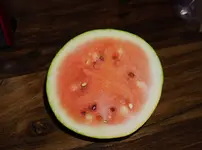 2023rnt04.webp