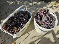 20230924_153146.webp