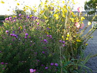 DSC03150.JPG