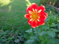 DSC03151.JPG
