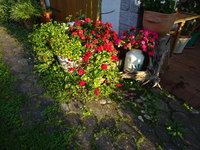 DSC03152.JPG