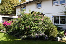 September   0523.JPG