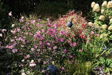 September   0623.JPG