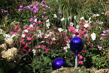 September   0823.JPG